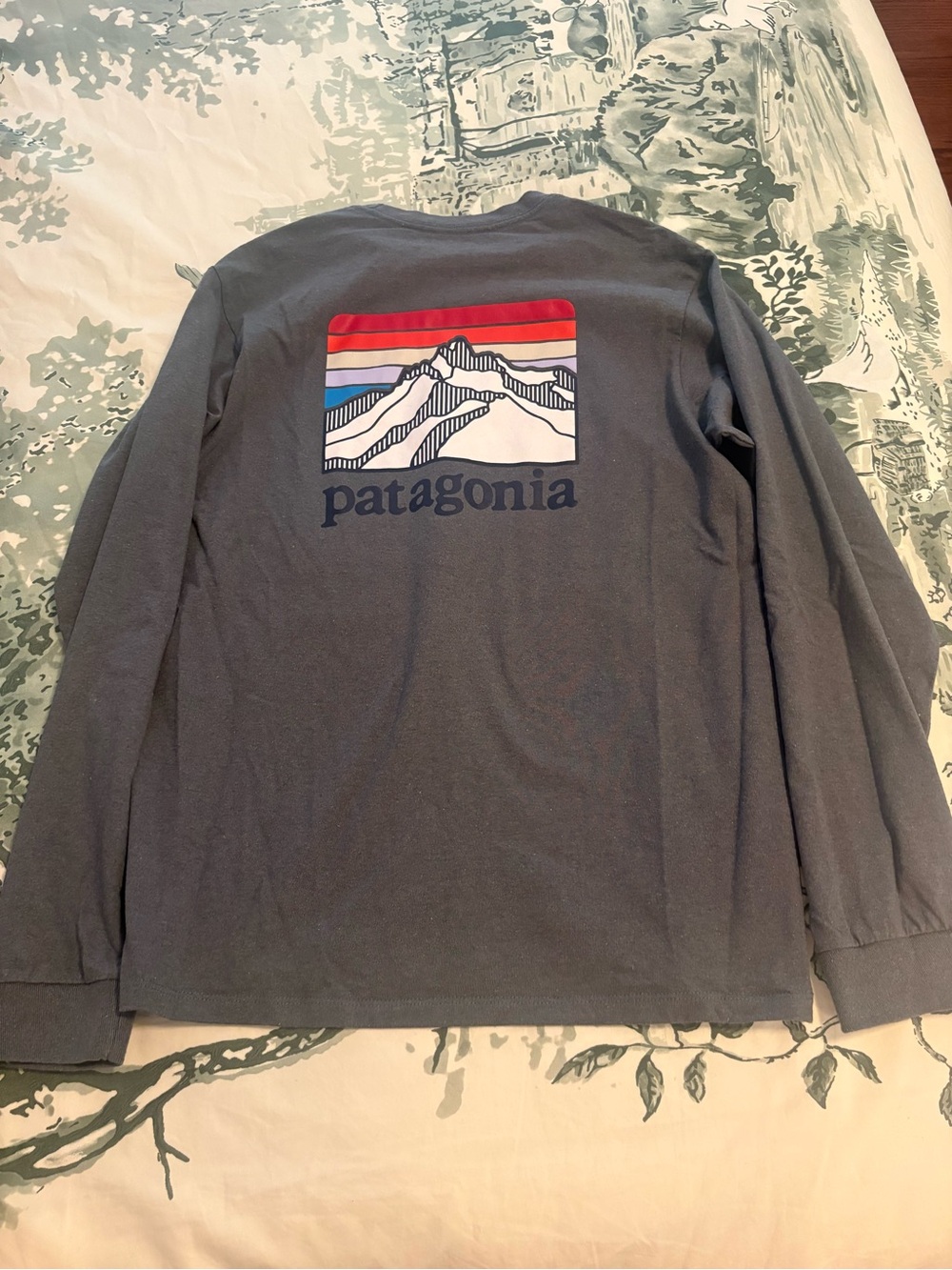Patagonia Long-Sleeve Graphic Tee in Charcoal with Red & Blue Stripe Print XS